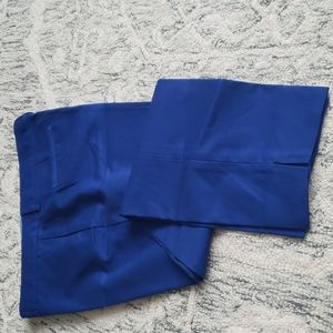 Blue Ankle length pants